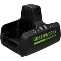 Зарядное устройство Greenworks G82C2 (2x82В)
