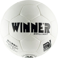 Футбольный мяч Winnersport Brilliant (5 размер)