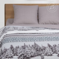 Постельное белье АртПостель Аляска 900 (1.5-спальный)