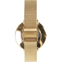 Наручные часы с украшением Skagen SKW1104