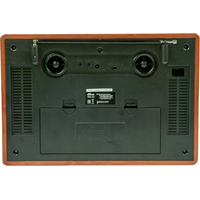 Радиоприемник Ritmix RPR-101 (коричневый)