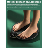 Напольные весы Haylou CM01 (зеленый)