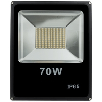 Уличный прожектор SWG FL-SMD-70-CW