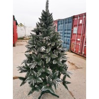 Сосна Christmas Tree Северная люкс с шишками 2.5 м