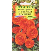 Семена цветов Гавриш Бегония Нон-стоп оранжевая F1 4 шт