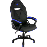 Кресло ThunderX3 TGC10 (черный/синий)