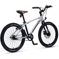 Детский велосипед Maxiscoo 7Bike 20 M700 2024 (серебристый)