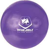 Гимнастический мяч WIN.MAX WMF09648 (фиолетовый)