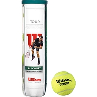 Набор теннисных мячей Wilson Tour All Court WRT115700 (4 шт)