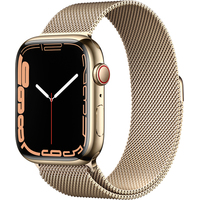 Умные часы Apple Watch Series 7 LTE 45 мм (сталь золото/миланский золотой)