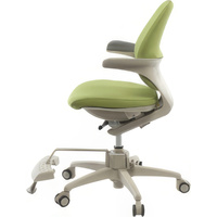 Компьютерное кресло Duorest RA-070SDSF 3UGN1 Duo (ткань, зеленый)