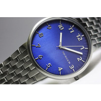 Наручные часы Skagen SKW6201