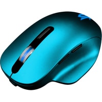 Мышь Jet.A R300G (синий)