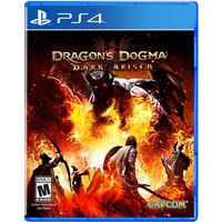  Dragon’s Dogma: Dark Arisen для PlayStation 4