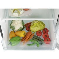 Холодильник Candy CCRN 6200B