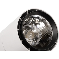 Точечный светильник SWG TL58-BW-30-NW
