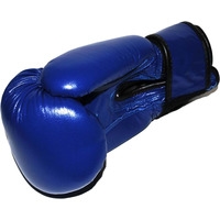 Перчатки для бокса Zez 10-OZ-NK (синий)
