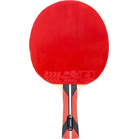 Ракетка для настольного тенниса TORNEO Master TI-B4.0