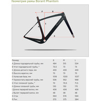 Велосипед Borant Phantom GRX815 Di2 L 2022 (бежевый)