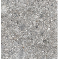 Керамогранит (плитка грес) Керамика Будущего Герда PGR серый 599x599