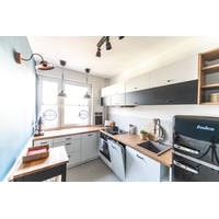 Кухонная мойка Laveo Chichi SBH 510T (серый)