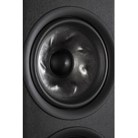 Напольная акустика Polk Audio Reserve R600 (черный)