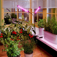 Лампа для растений Elektrostandard FT-005 для растений на прищепке (черный)