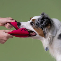 Игрушка для собак Mr. Kranch Бумеранг с пищалкой MKR80242 (розовый)