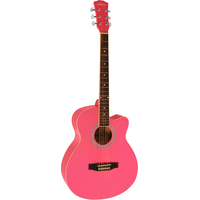 Акустическая гитара Elitaro E4010 PI