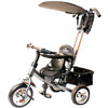 Детский велосипед Rich Toys Lexus Trike NEXT 2012