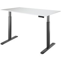 Стол для работы стоя ErgoSmart Electric Desk 1380x800x18 мм (альпийский белый/черный)