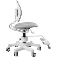 Компьютерное кресло Duorest DR-289SF 3EGY1 Eco (ткань, серый)