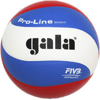 Волейбольный мяч Gala Pro Line BV5591S (5 размер)