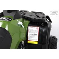 Электроквадроцикл RiverToys T001TT 4WD (зеленый)