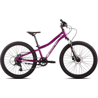 Велосипед Merida Matts J24 Pro 2023 (пурпурный)