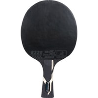 Ракетка для настольного тенниса TORNEO Champion TI-B5.0