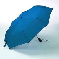 Складной зонт Colorissimo Cambridge US20 (голубой)