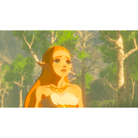  The Legend of Zelda: Breath of the Wild для Nintendo Switch