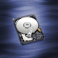 Жесткий диск WD Blue 1TB (WD10JPVX)