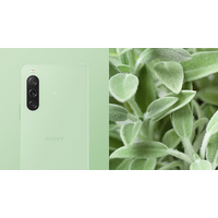 Смартфон Sony Xperia 10 V XQ-DC72 8GB/128GB (светло-зеленый)