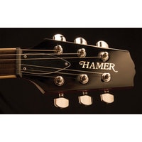 Электрогитара Hamer Guitars Monaco MONF-CS-U