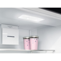 Однокамерный холодильник Liebherr IRe 5100 Pure