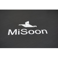 Батут MiSoon 366-12ft-Pro (внешняя сетка)