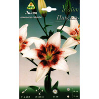 Семена цветов АПД Лилия азиатские гибриды Уайт Пиксель (2 луковицы)
