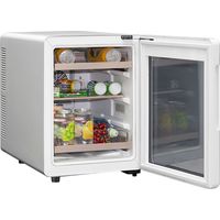 Торговый холодильник Meyvel MD35-White в Гродно