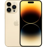 Смартфон Apple iPhone 14 Pro Max Dual SIM 1TB (золотистый)