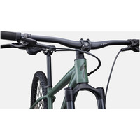 Велосипед Specialized Rockhopper Elite 29 M 2022 (Gloss sage green/Oak green)