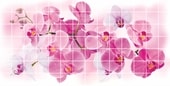 Орхидея Розея 95.5x48 см