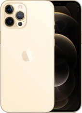 iPhone 12 Pro Max Dual SIM 512GB (золотой)