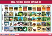Животные и природные зоны РФ